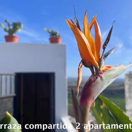 Casa Abades Arcos De La Frontera Apartment Bagian luar foto