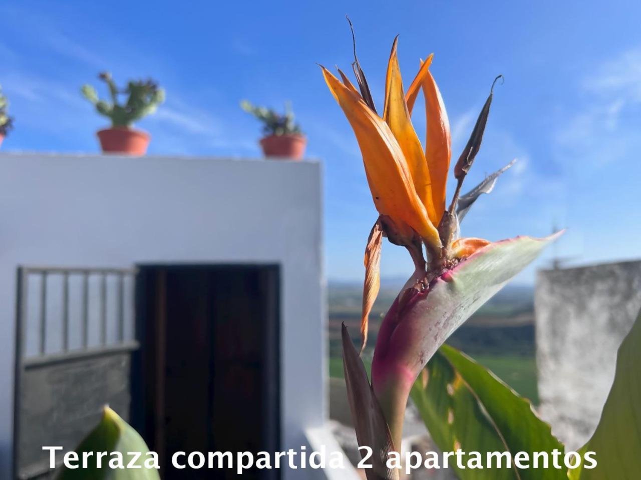 Casa Abades Arcos De La Frontera Apartment Bagian luar foto